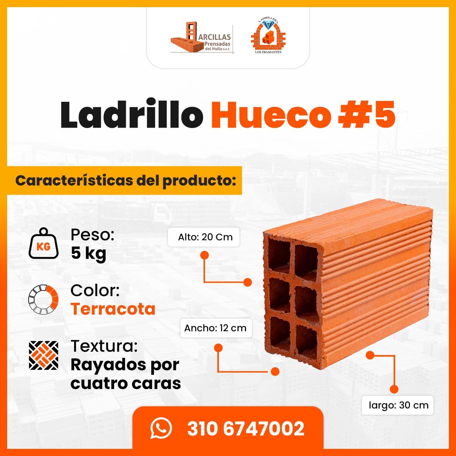 Ladrillo Hueco #5 — medidas técnicas