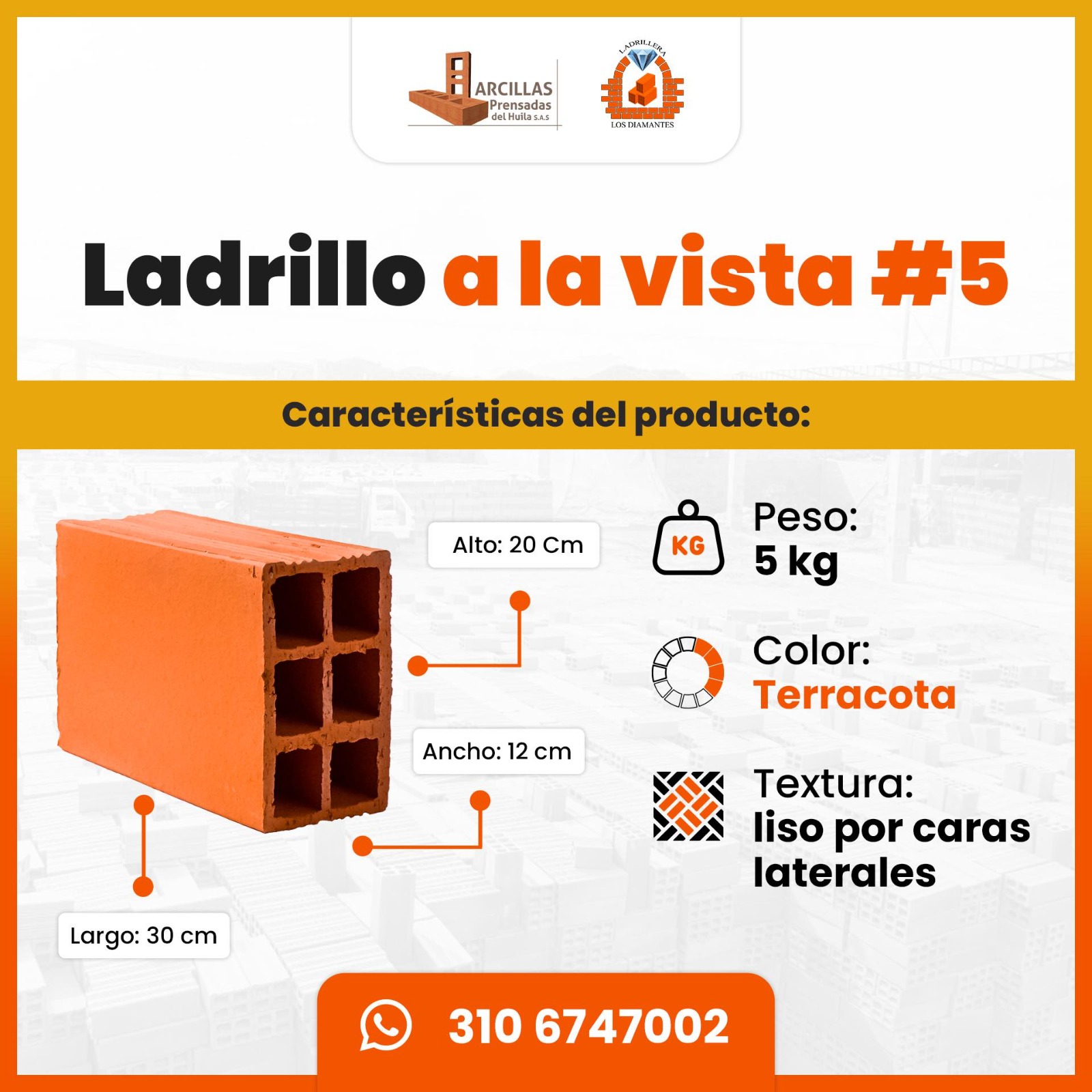 Ladrillo a la Vista #5 — medidas técnicas