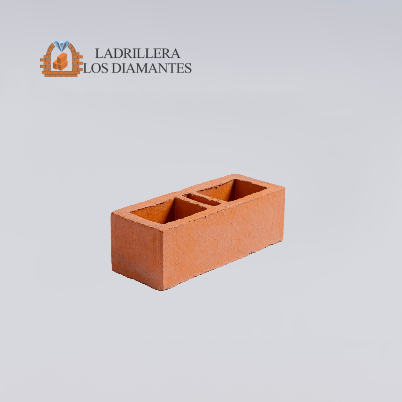 Ladrillo Estructural PV 30x12x10