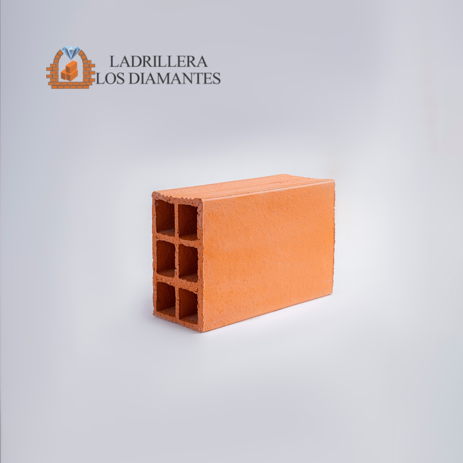 Ladrillo a la Vista #5